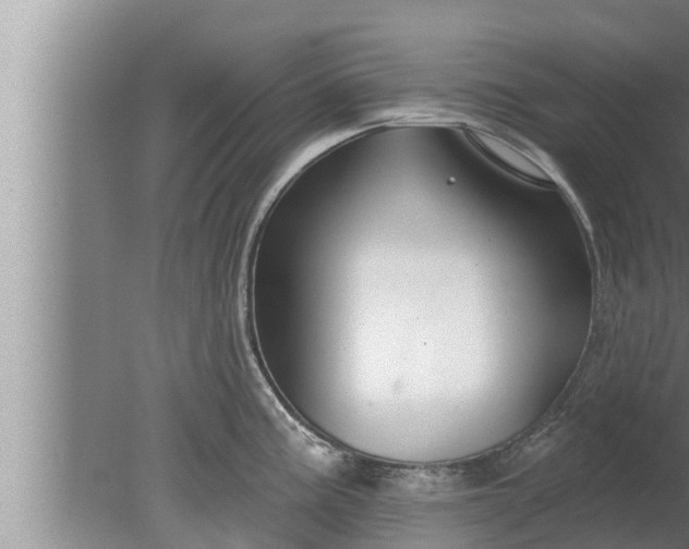 X0000080131195200612221849