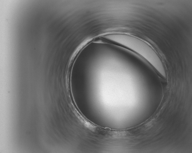 X0000080131196200612221849