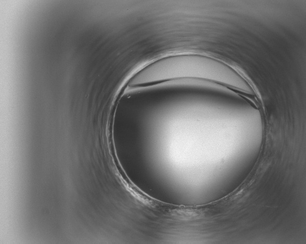 X0000080131197200612221849