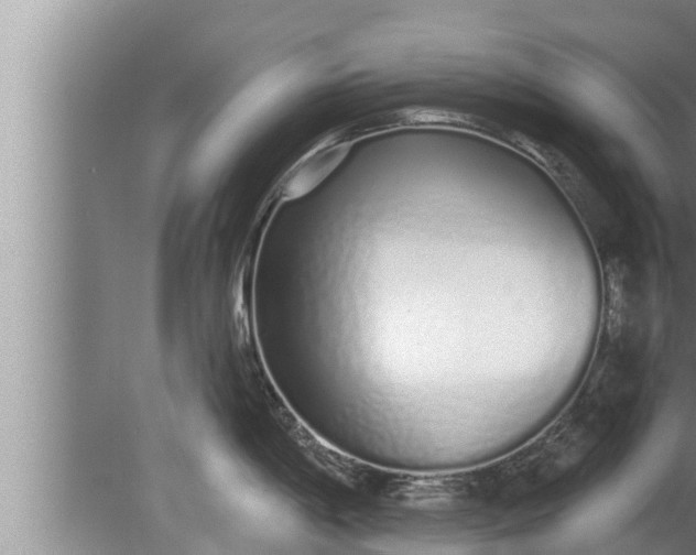 X0000080131198200612221849