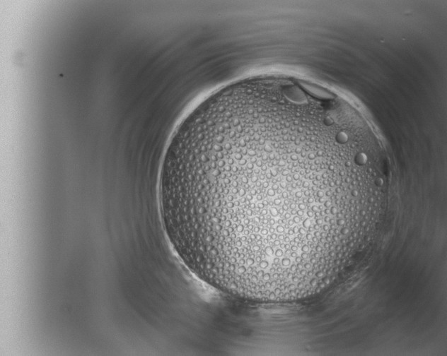 X0000080131199200612221849