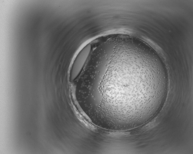 X0000080131200200612221849