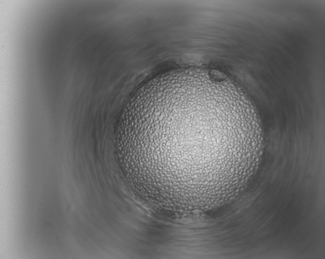 X0000080131201200612221848