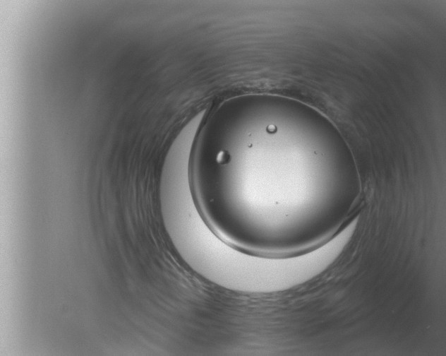 X0000080131202200612221848