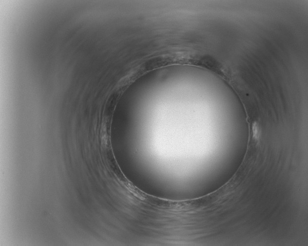 X0000080131203200612221848