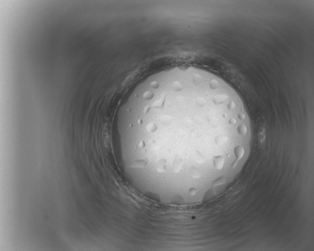 X0000080131204200612221848