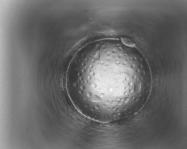 X0000080131205200612221848