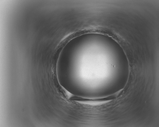 X0000080131206200612221848