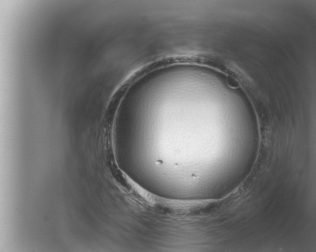 X0000080131208200612221848