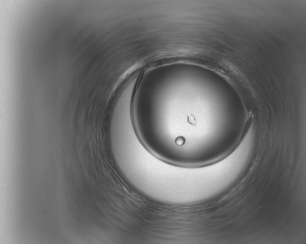 X0000080131210200612221848