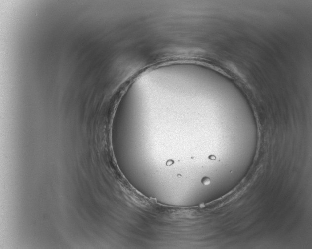 X0000080131211200612221848