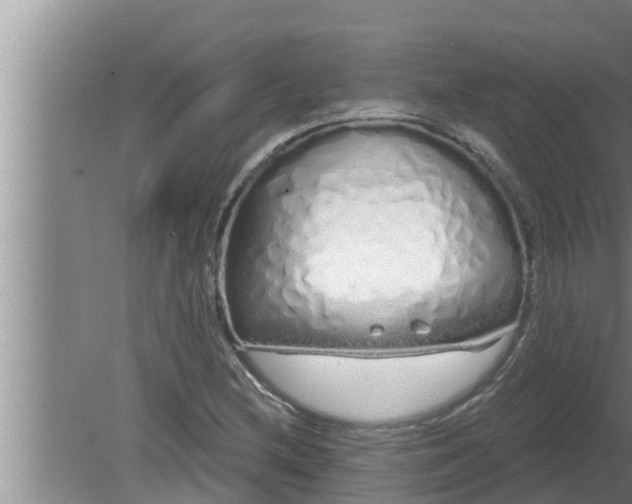 X0000080131212200612221848