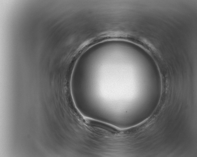 X0000080131213200612221848