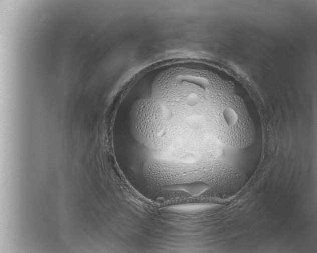 X0000080131215200612221848