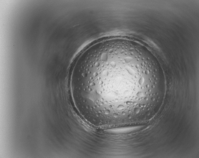 X0000080131216200612221848