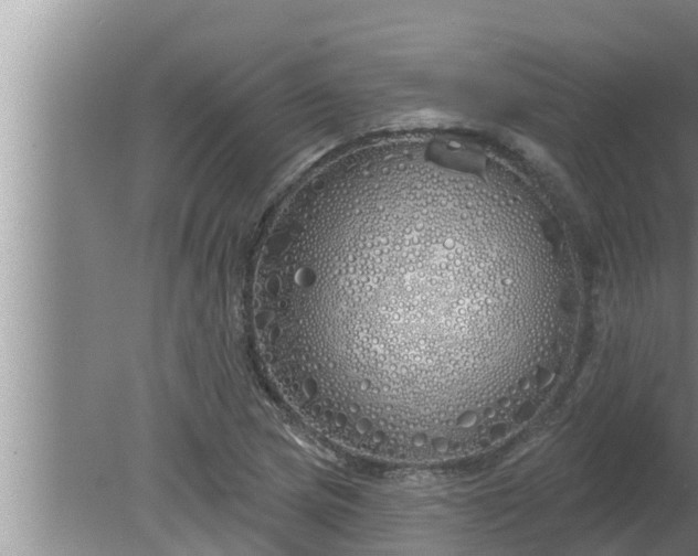 X0000080131217200612221848