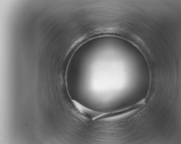 X0000080131218200612221848