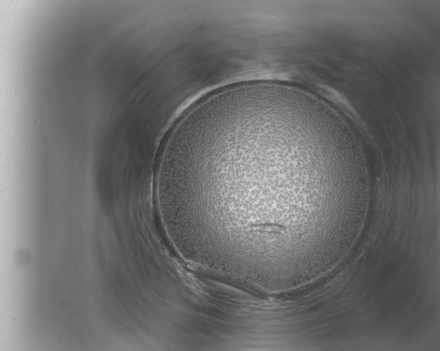 X0000080131220200612221848