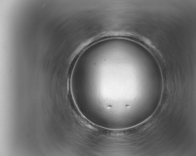 X0000080131221200612221848