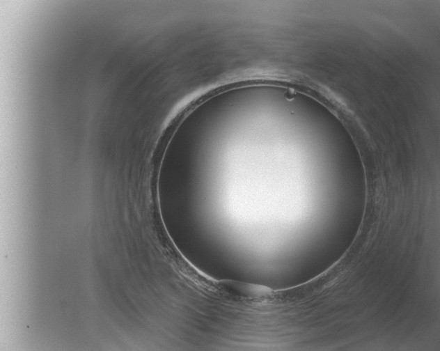 X0000080131222200612221848