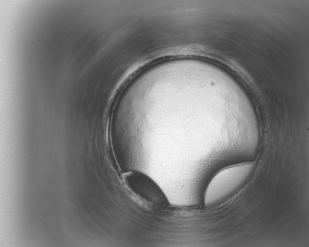 X0000080131224200612221848