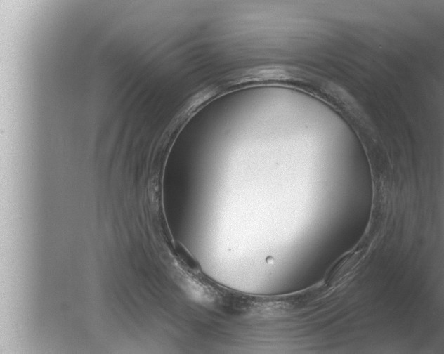 X0000080131225200612221849