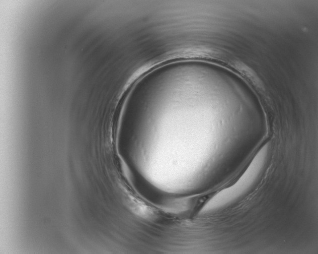 X0000080131226200612221849