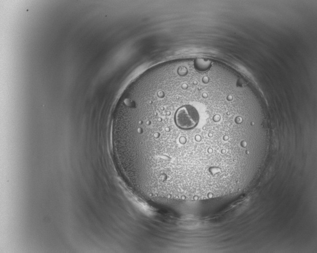 X0000080131227200612221849