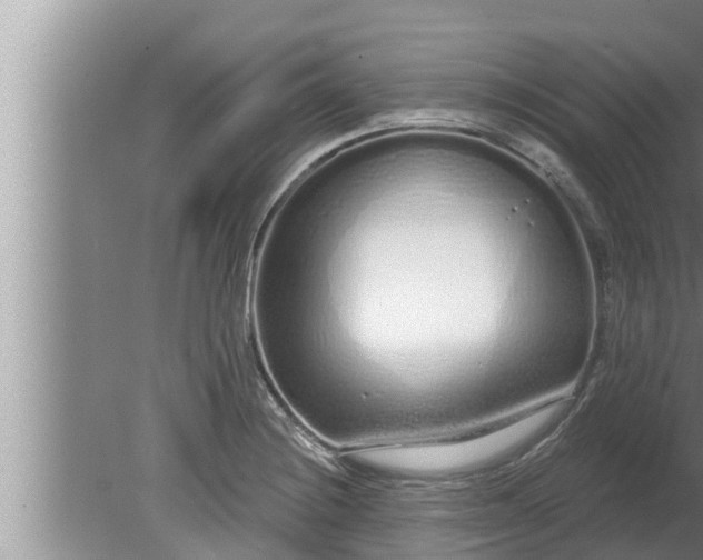 X0000080131228200612221849