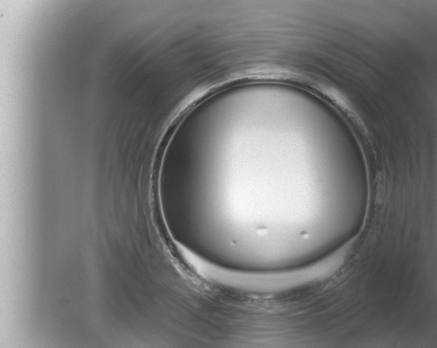 X0000080131229200612221849