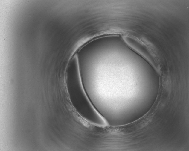 X0000080131230200612221849