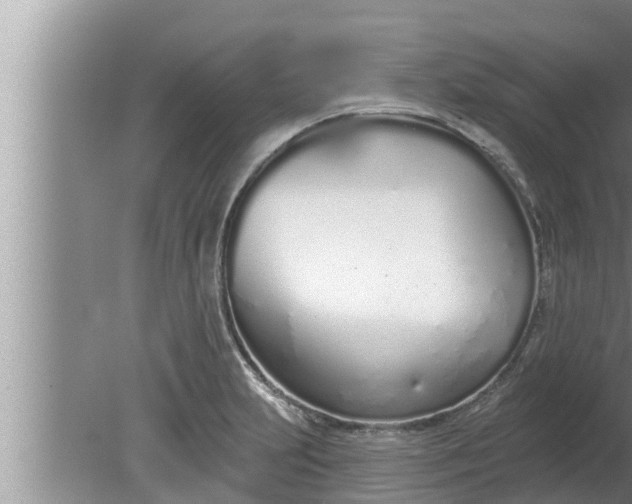 X0000080131231200612221849