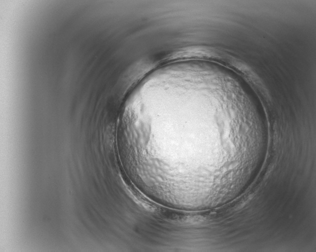 X0000080131233200612221849