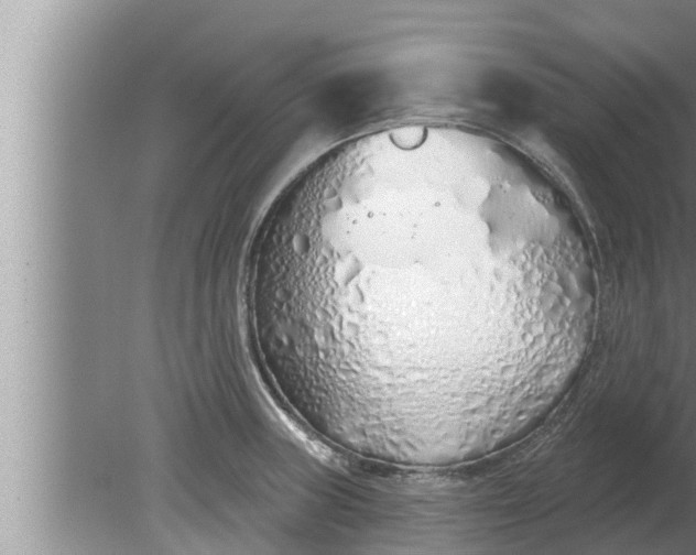 X0000080131235200612221849