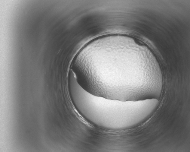 X0000080131236200612221849