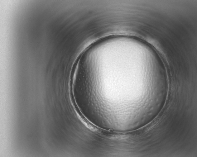 X0000080131237200612221849