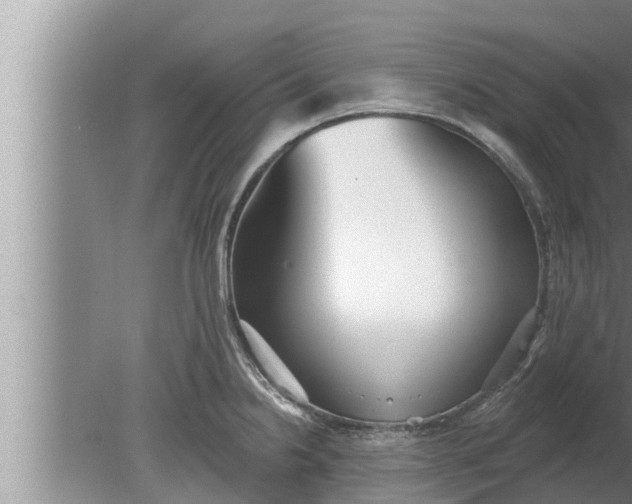 X0000080131238200612221849