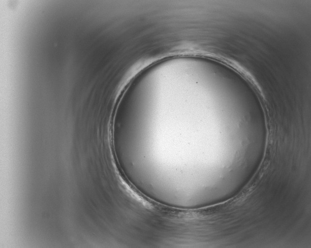 X0000080131239200612221849