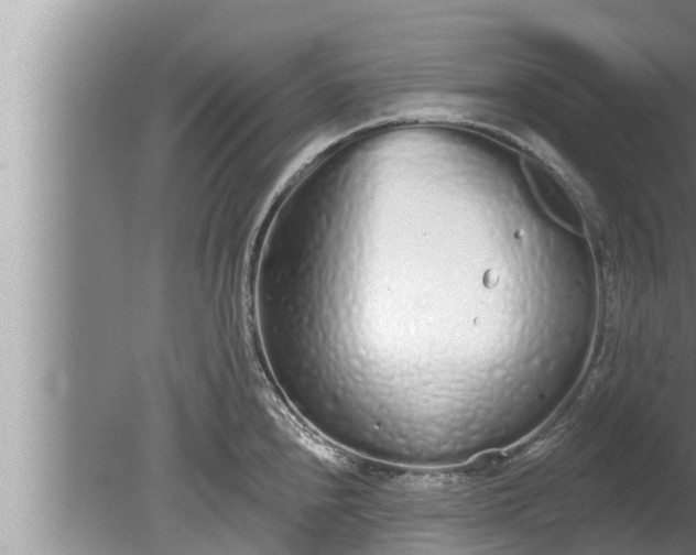 X0000080131240200612221849