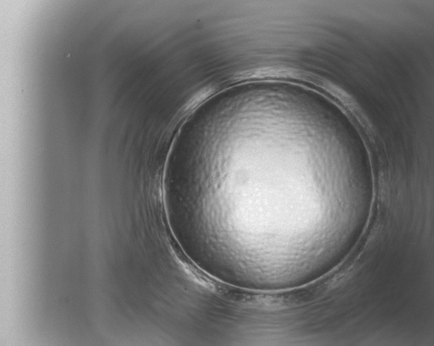 X0000080131241200612221849