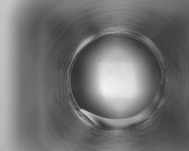 X0000080131242200612221849