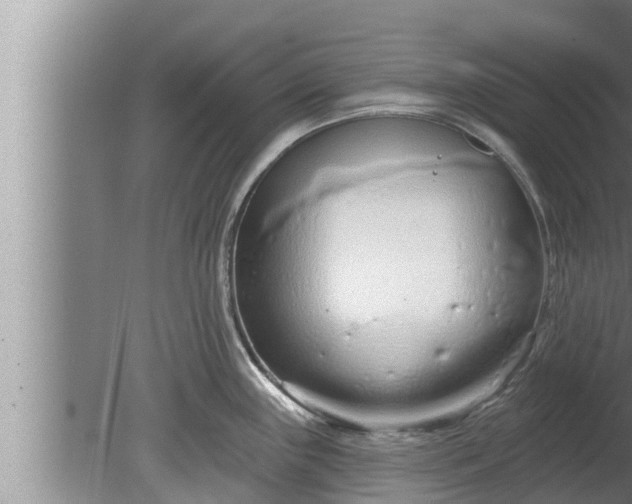 X0000080131243200612221849