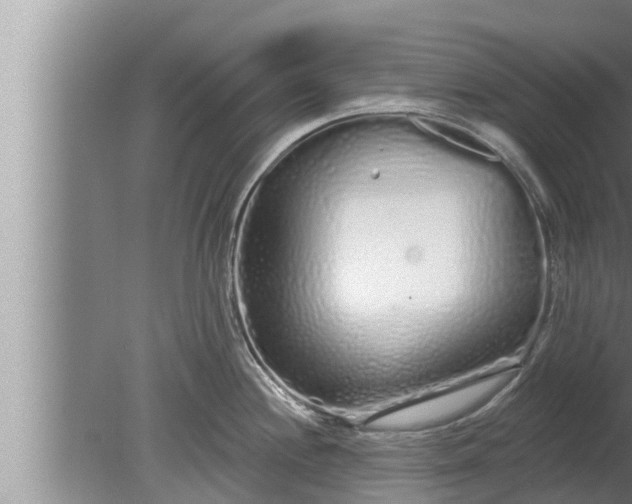 X0000080131244200612221849