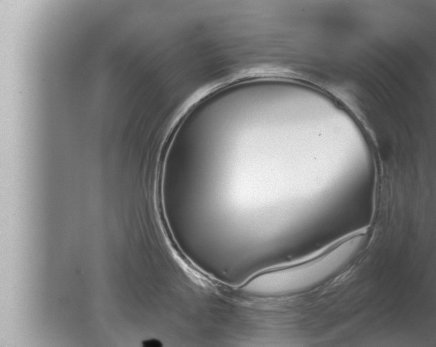 X0000080131245200612221849