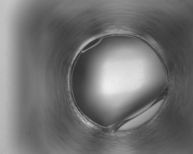 X0000080131246200612221849