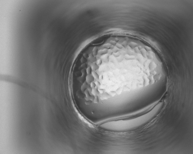 X0000080131247200612221849