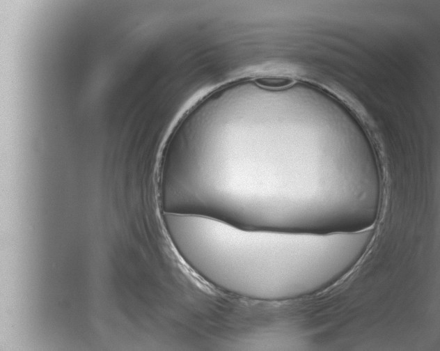 X0000080131248200612221849