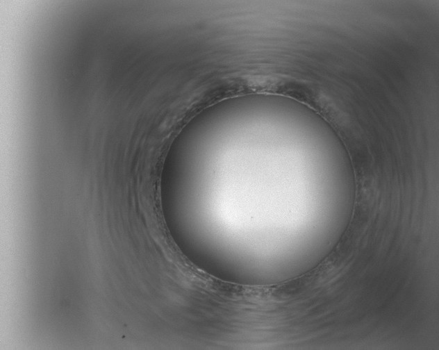 X0000080131249200612221848