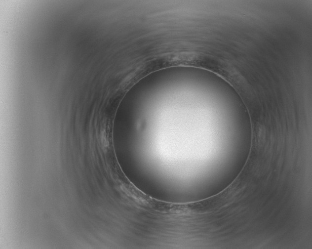 X0000080131250200612221848