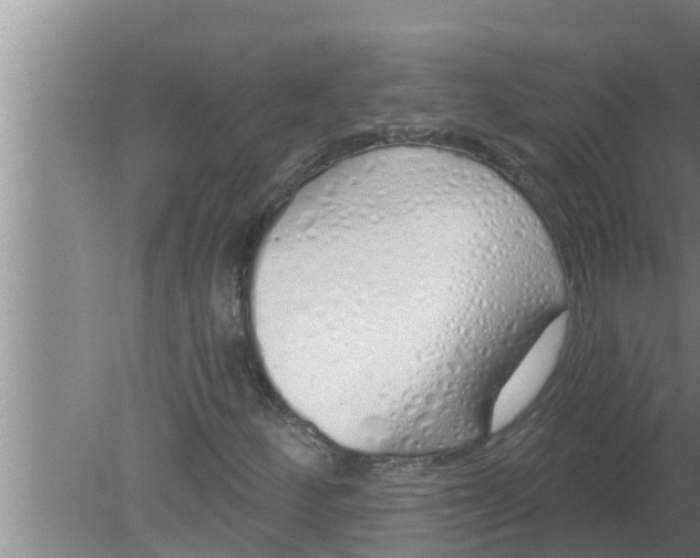 X0000080131252200612221848